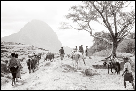 Walking in Portugese Timor